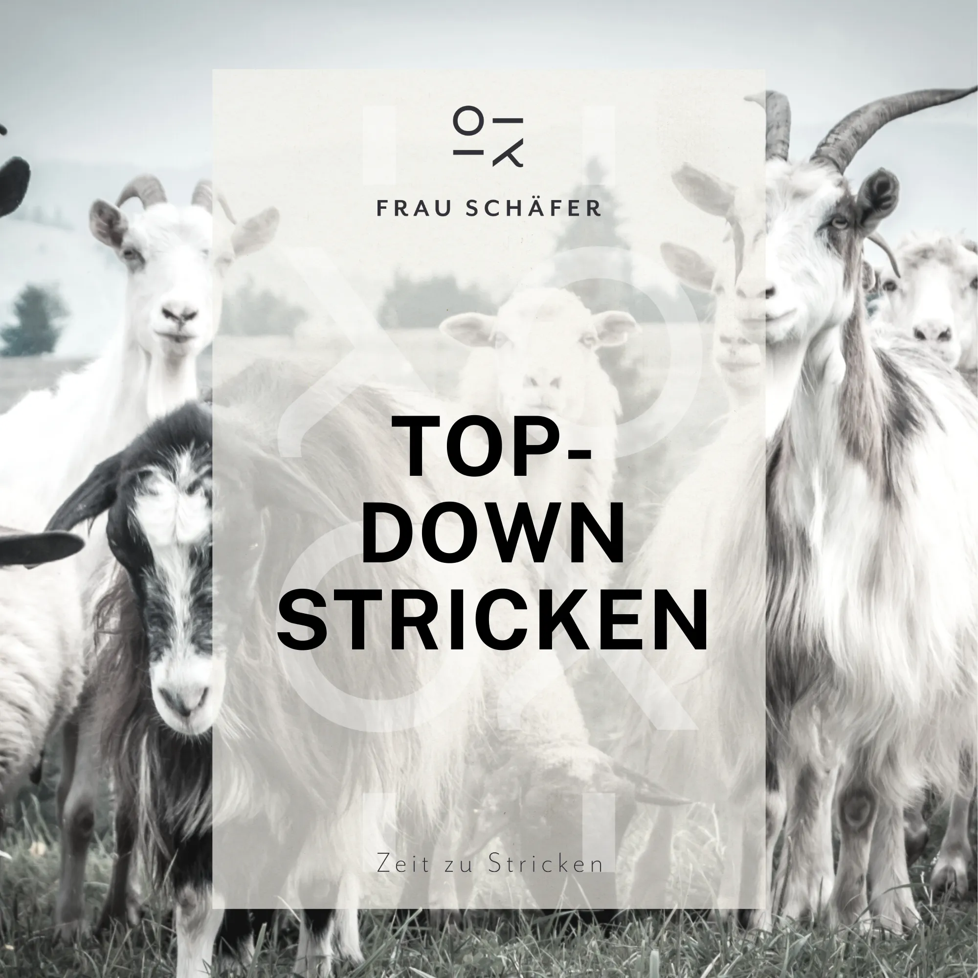 Strickkurs TOP-DOWN STRICKEN